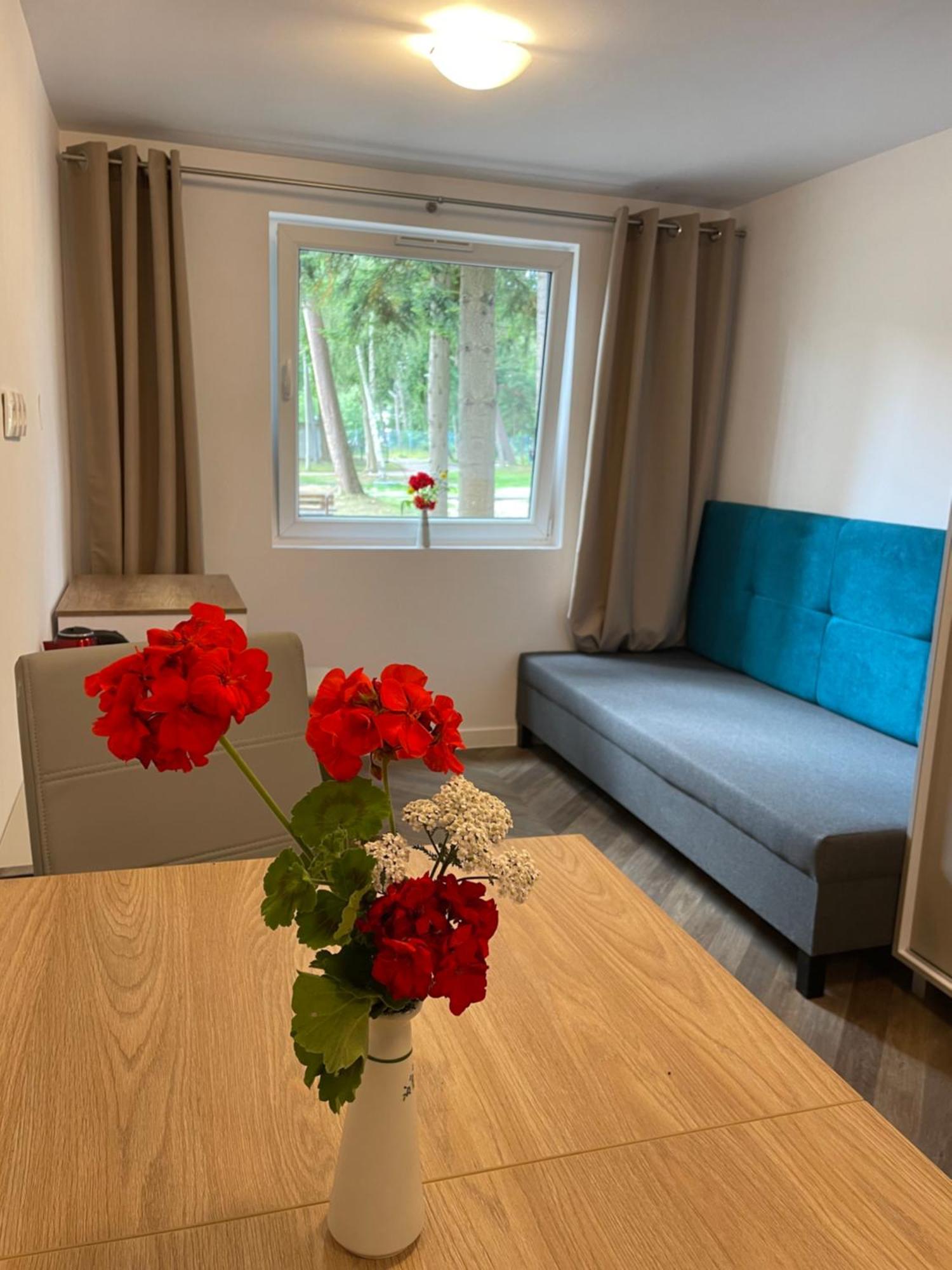 Domki Osrodek Wypoczynkowy Neptun Hotell Ujście-Darłowskie Exteriör bild